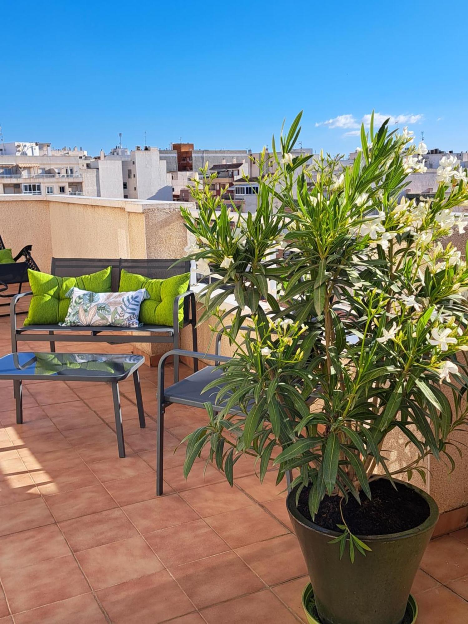 Atico Roof Top Torrevieja Buitenkant foto
